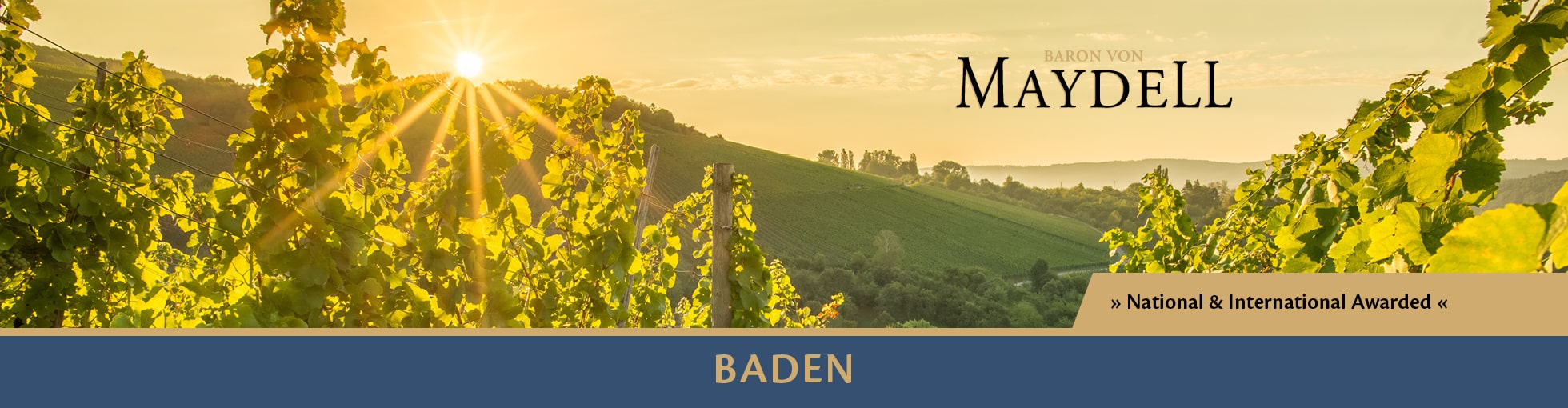 Baron von Maydell - Weine aus Baden